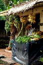 DSC_0049 Fruit Stand * 2000 x 3008 * (2.63MB)